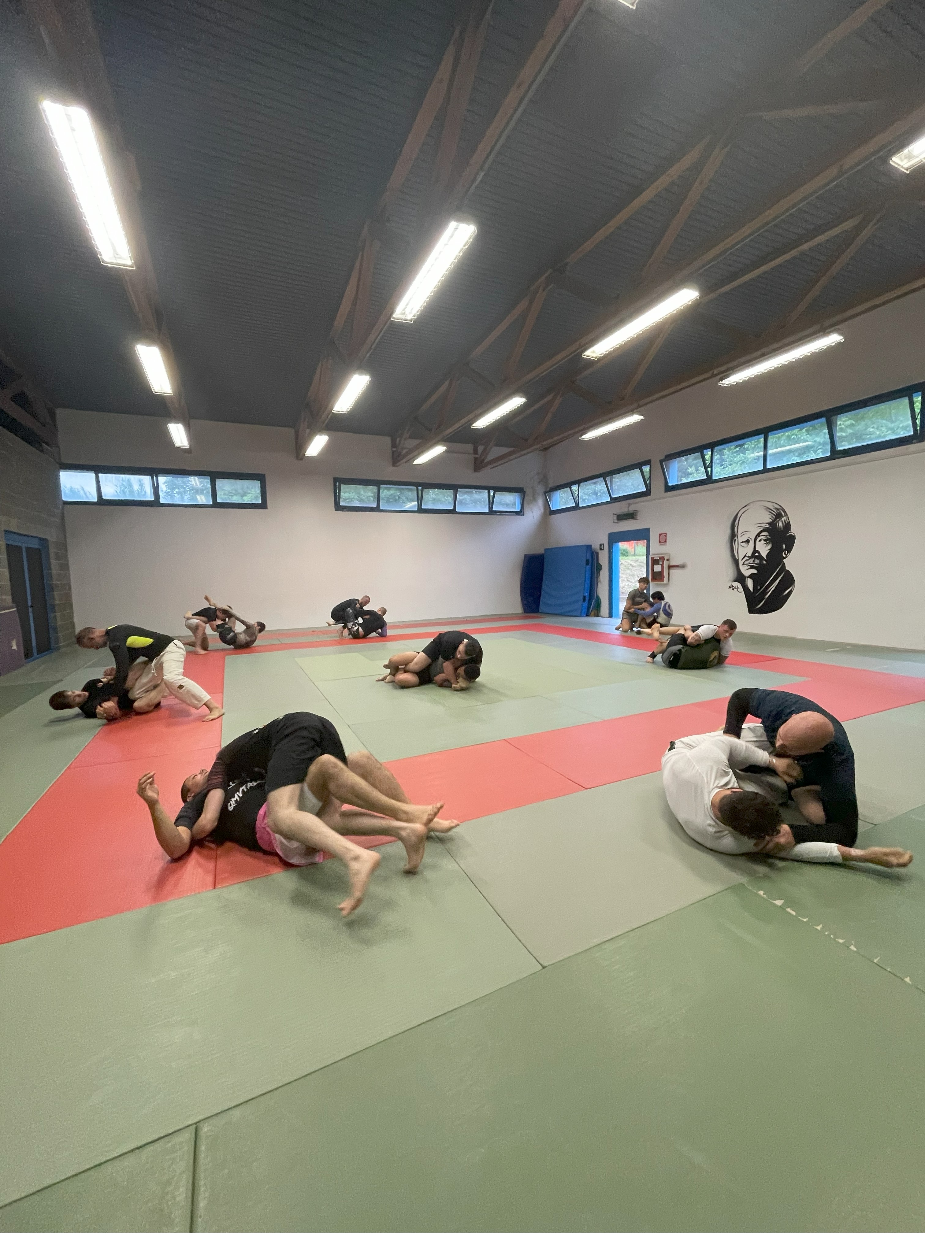 Grappling Besana
